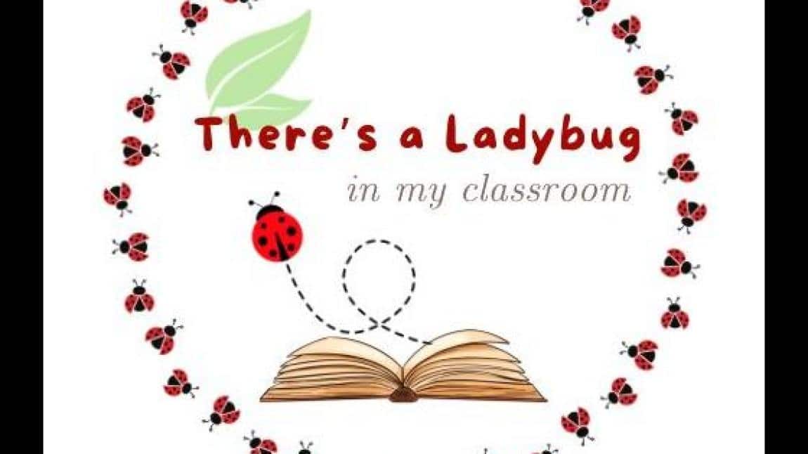 There's a Ladybug in my classroom eTwinning Projesi